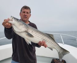 Boston Fishing Tour, Striped Bass